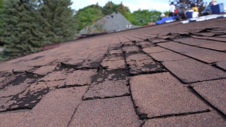 Professional Roofing Service in Newark, DE