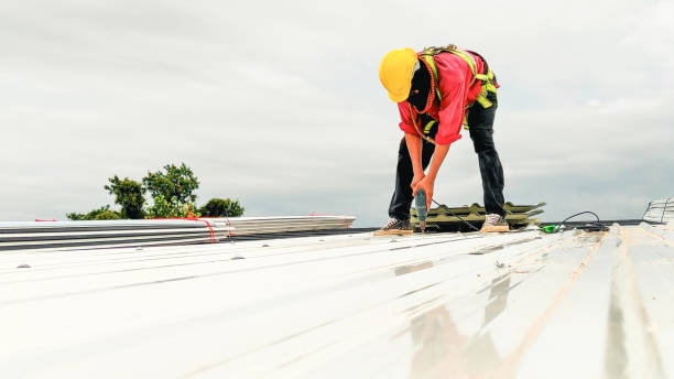 Roof Coating Services in Newark, DE